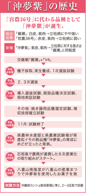「沖夢紫」の歴史 - 「宮農36号」に代わる品種として「沖夢紫」が誕生。