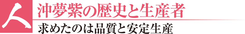 【人】沖夢紫の歴史と生産者 - 求めたのは品質と安定生産