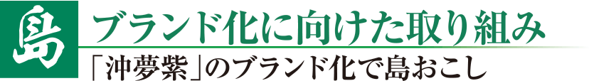 【島】ブランド化に向けた取り組み - 「沖夢紫」のブランド化で島おこし